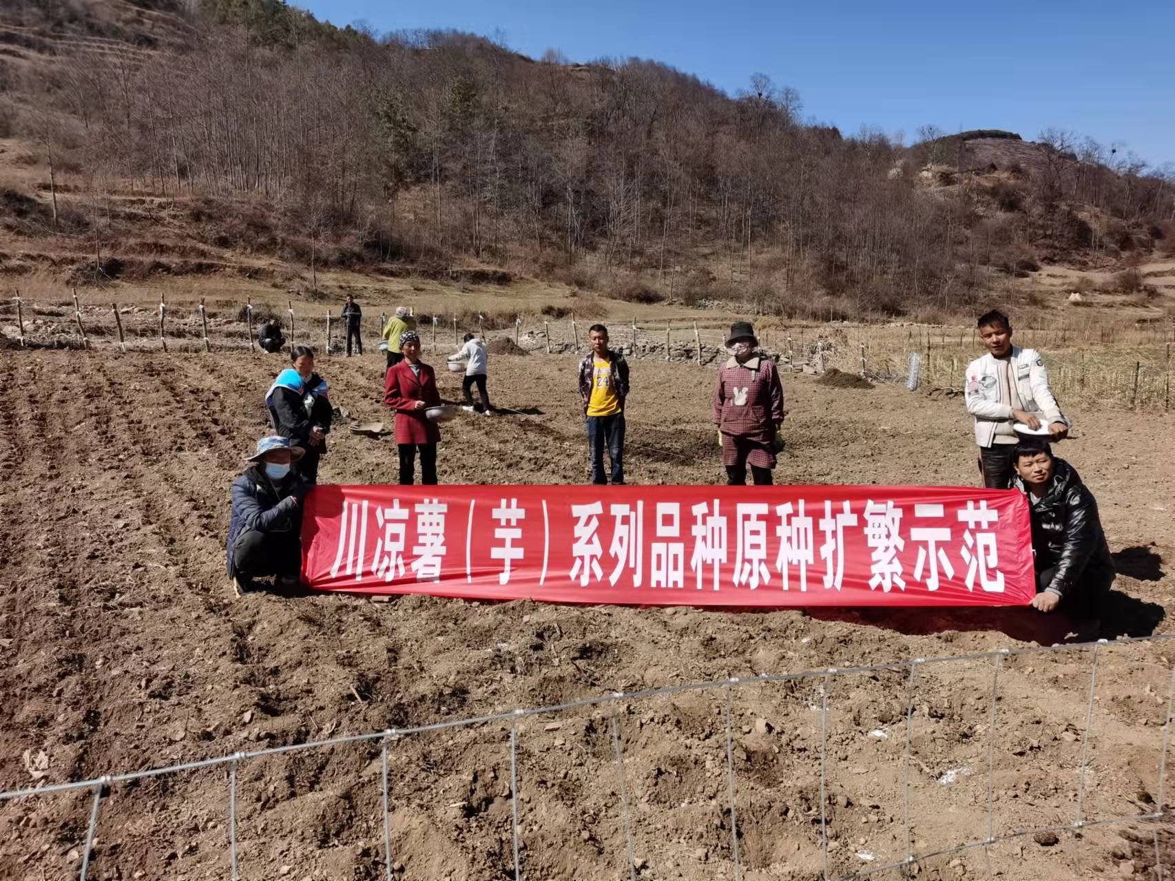 图片4.jpg
