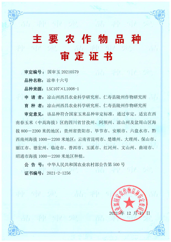 凉山州农科院选育玉米新品种通过审定(图文)