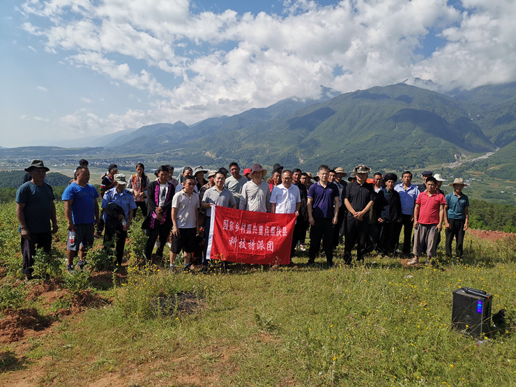 国家乡村振兴重点帮扶县普格科技特派团马铃薯产业组开展产业调研与技术指导