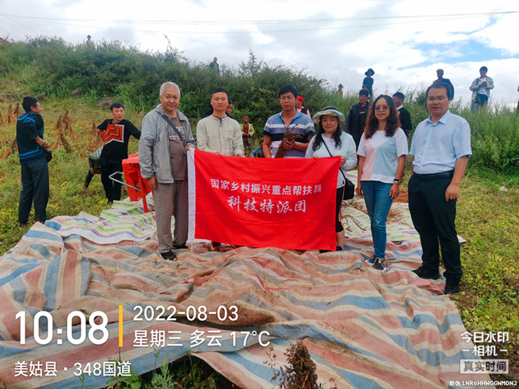国家科技特派团在美姑县开荞麦减损收获技术培训大会(图文)