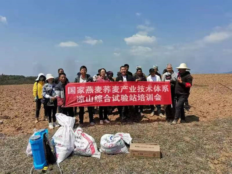 州农科院国家科技特派团暨国家燕麦荞麦产业技术体系凉山综合试验站在美姑县开展科技帮扶活动(图文)