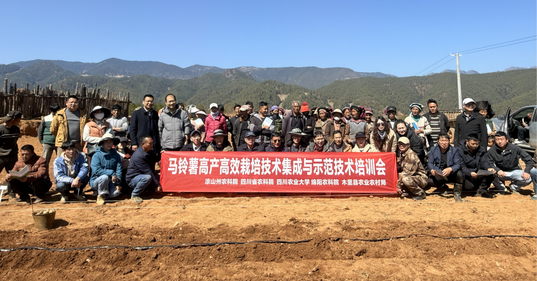 科技服务下基层   助力薯农促增收