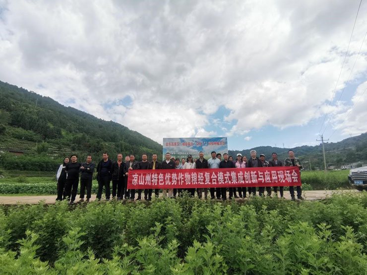 凉山州特色优势作物粮经复合集成与创新现场会在会东召开