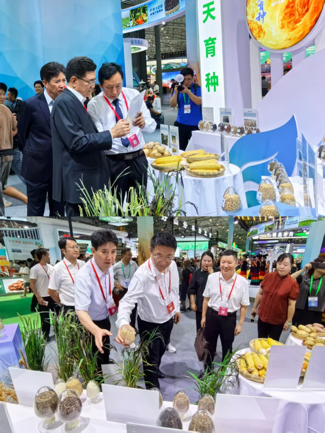 凉山州农科院圆满完成2025年四川省农博会参展任务