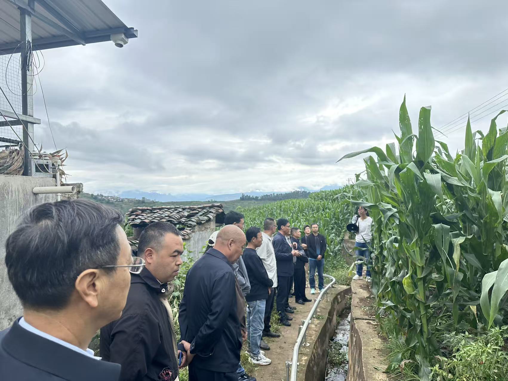 党建引领聚合力 粮烟融合促振兴  ——凉山州农科院组织开展党建联建共建活动